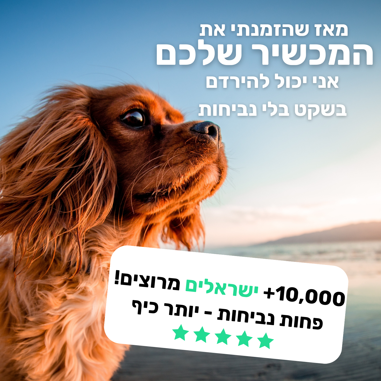 מכשיר הAntiBark Pro 
⭐️ כלב רגוע ושקט בלחיצת כפתור 
⭐️ טיול רגוע בלי נביחות על כלבים אחרים 
⭐️ הגיע הזמן לישון בלי נביחות באמצע הלילה